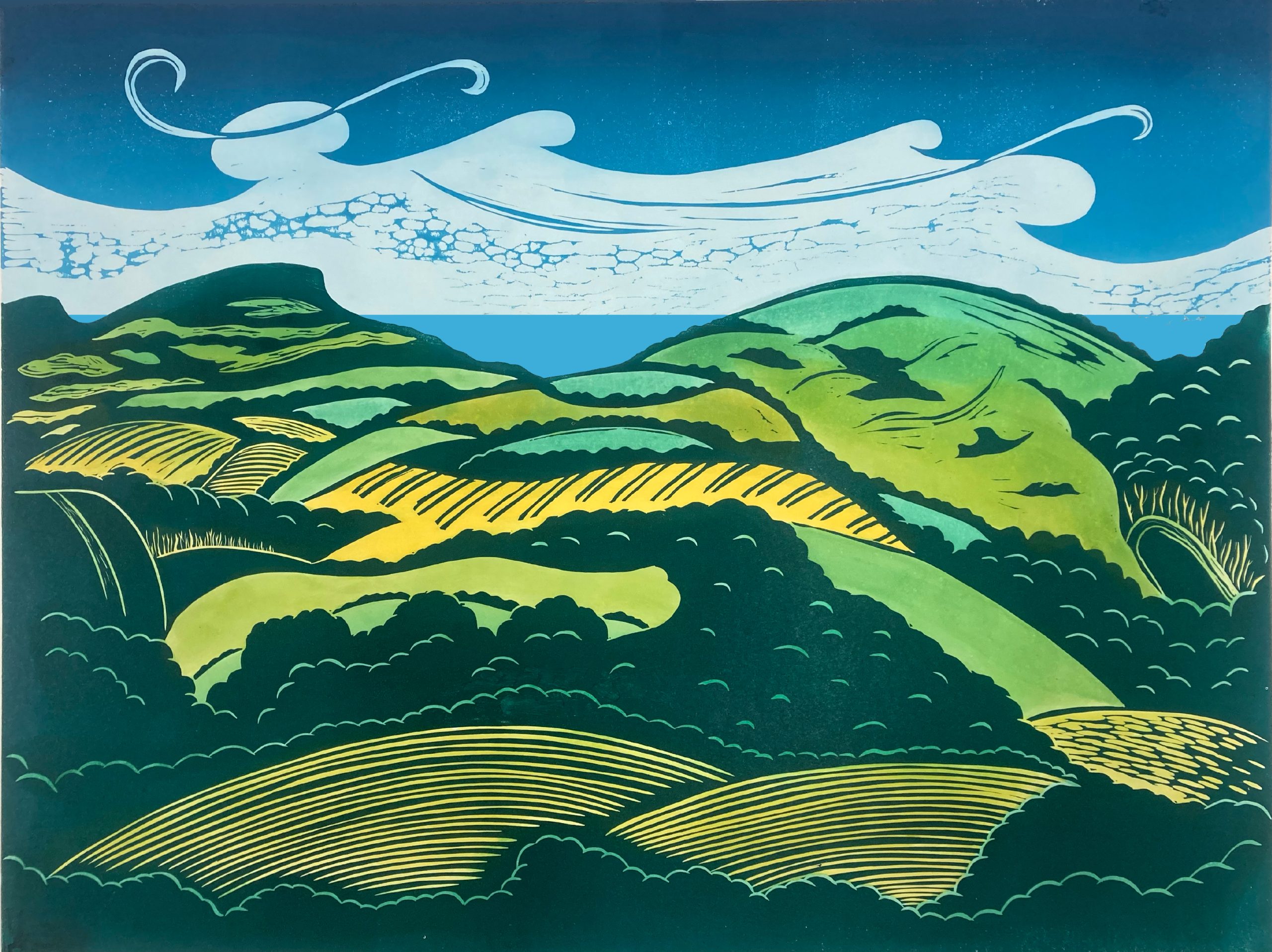 THE DOWNS FROM BLACK CAP