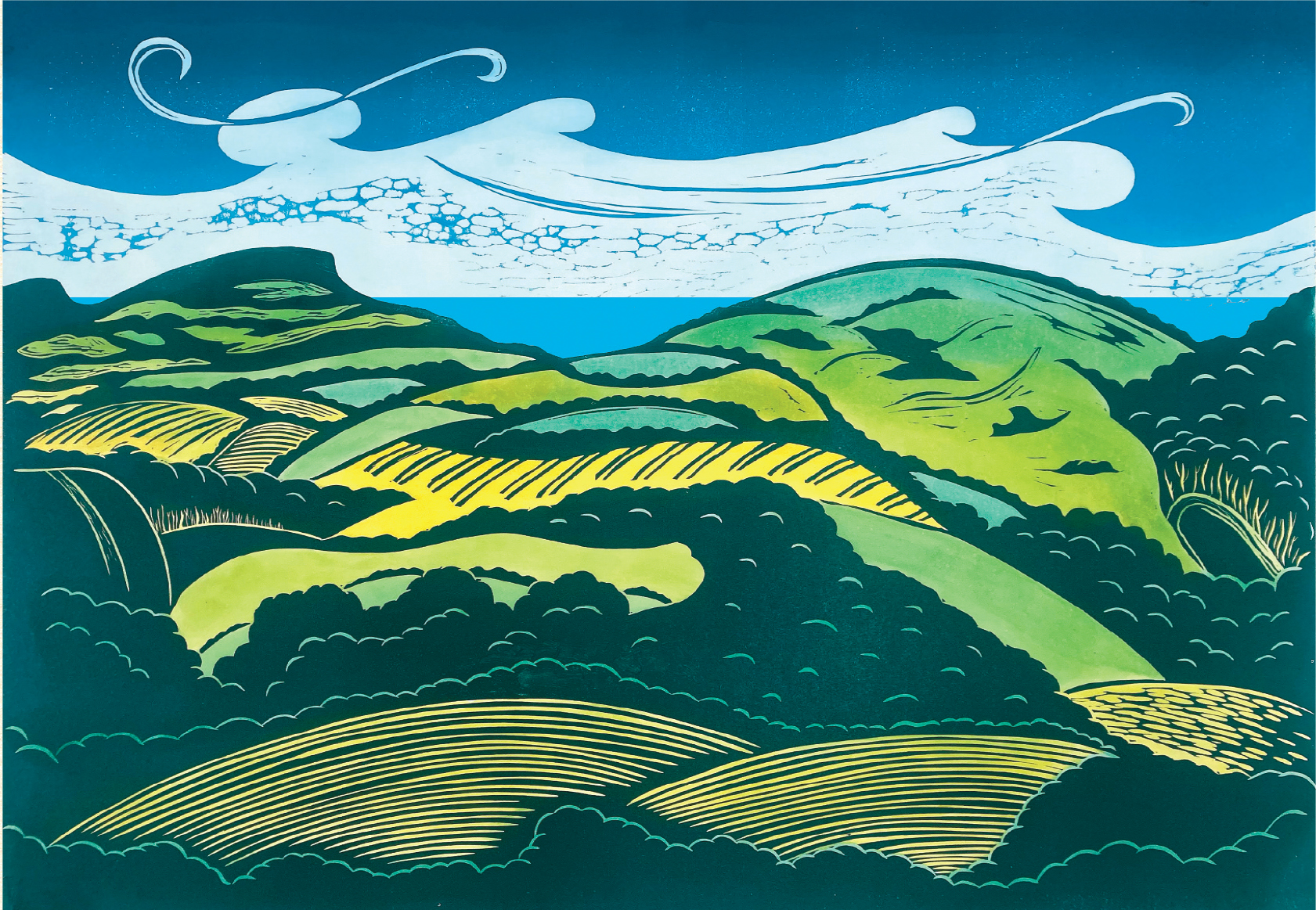 THE DOWNS FROM BLACK CAP